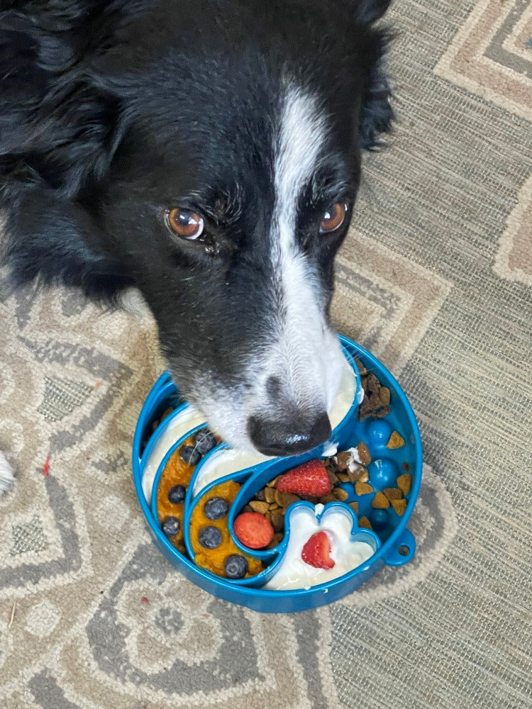 Wave Ebowl Deep Slow Feeder Dog Bowl For Enrichment Made - gallery image 7