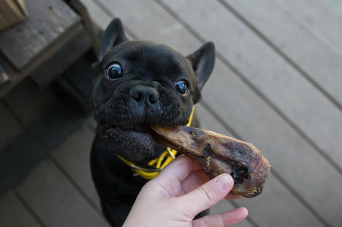 Duck Heads Abf Dog Treats Premium Premium Pet Supply - gallery image 8