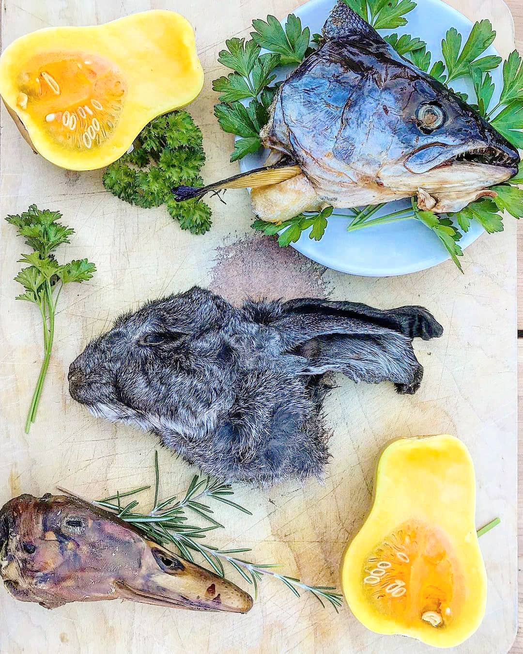 Duck Heads Abf Dog Treats Premium Premium Pet Supply - gallery image 11