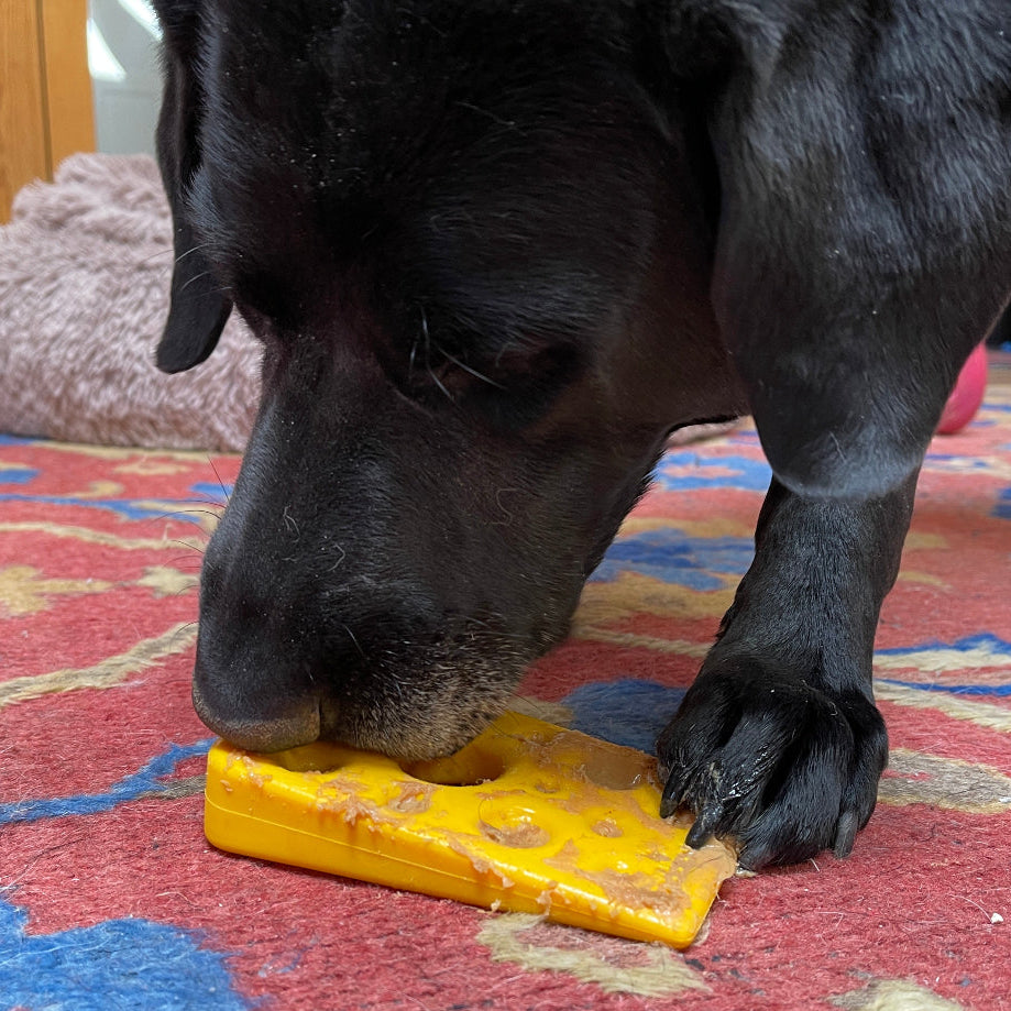 Swiss Cheese Wedge Nylon Dog Chew Toy For Aggressive Chewers - gallery image 5