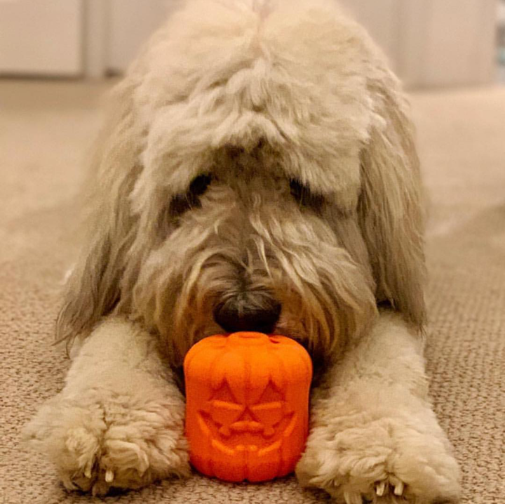 Jack O Lantern Dog Toy Durable Halloween Chew Toy For Large - gallery image 10