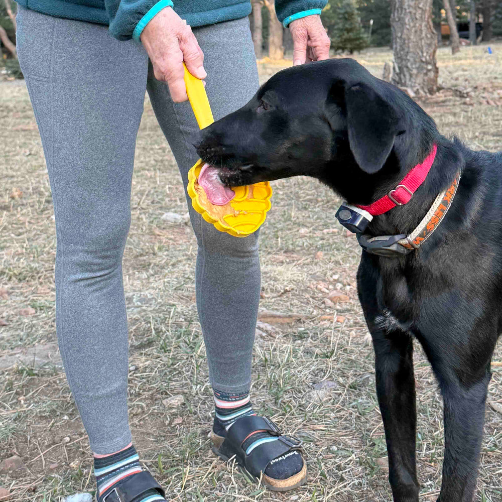 Estick Hand Held Dog Enrichment Toy Interactive Lick Stick - gallery image 16