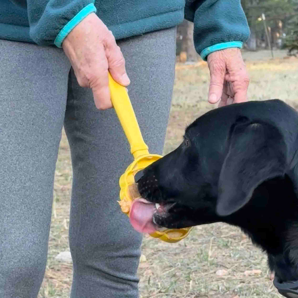 Estick Hand Held Dog Enrichment Toy Interactive Lick Stick - gallery image 18
