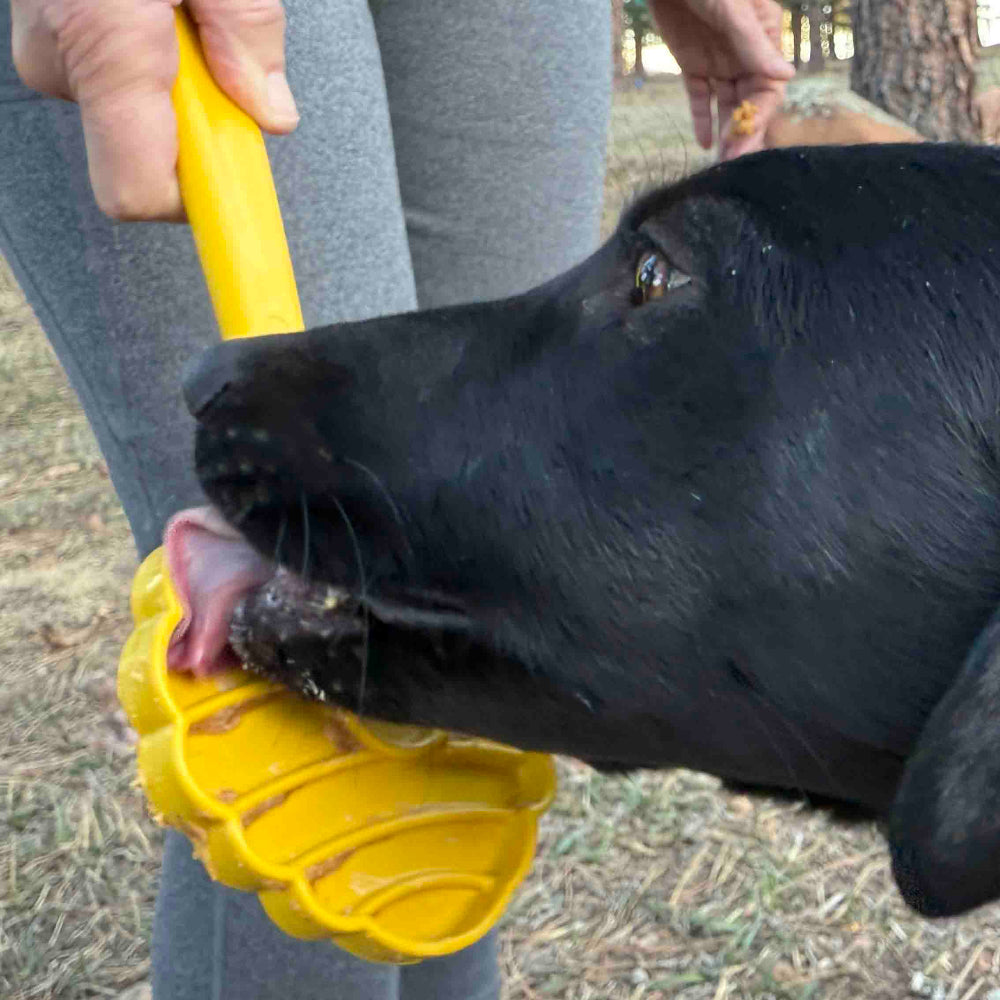 Estick Hand Held Dog Enrichment Toy Interactive Lick Stick - gallery image 12