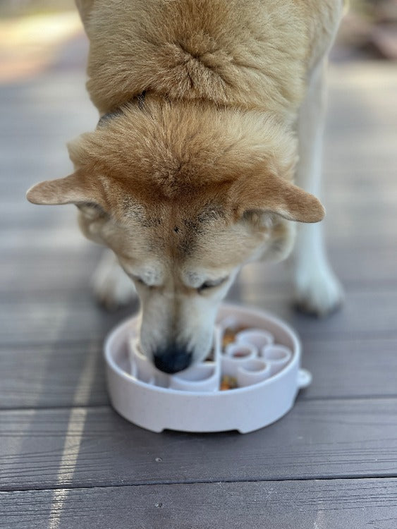 Java Ebowl Deep Slow Feeder Dog Bowl For Enrichment USA Made - gallery image 8