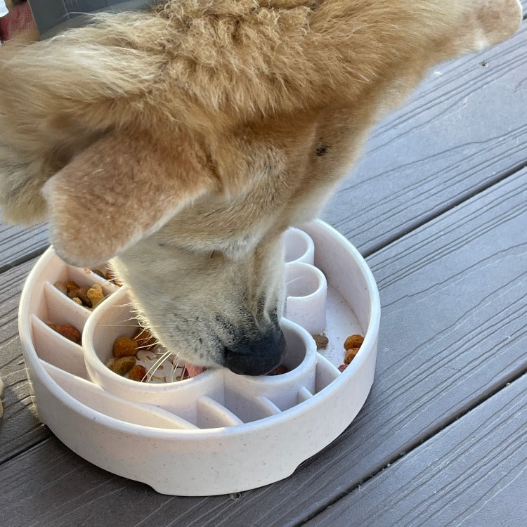 Java Ebowl Deep Slow Feeder Dog Bowl For Enrichment USA Made - gallery image 7
