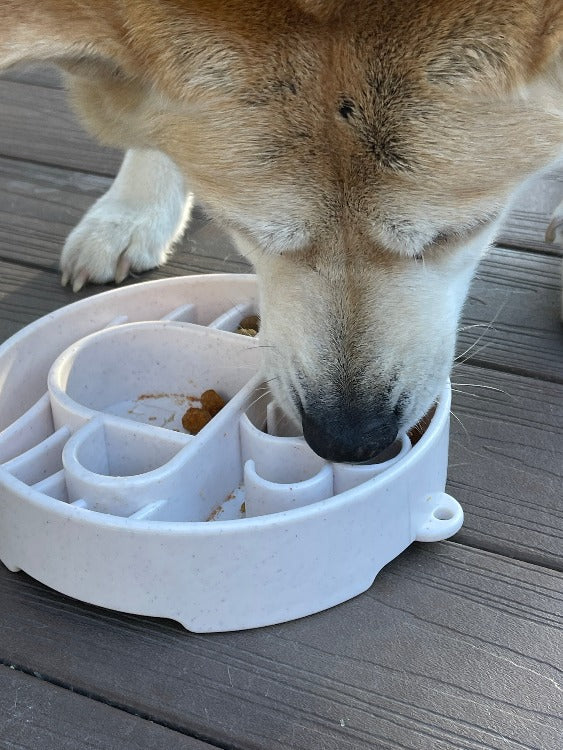 Java Ebowl Deep Slow Feeder Dog Bowl For Enrichment USA Made - gallery image 10