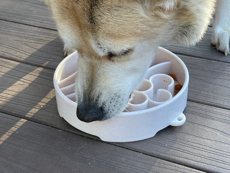 Java Ebowl Deep Slow Feeder Dog Bowl For Enrichment USA Made - gallery image 11
