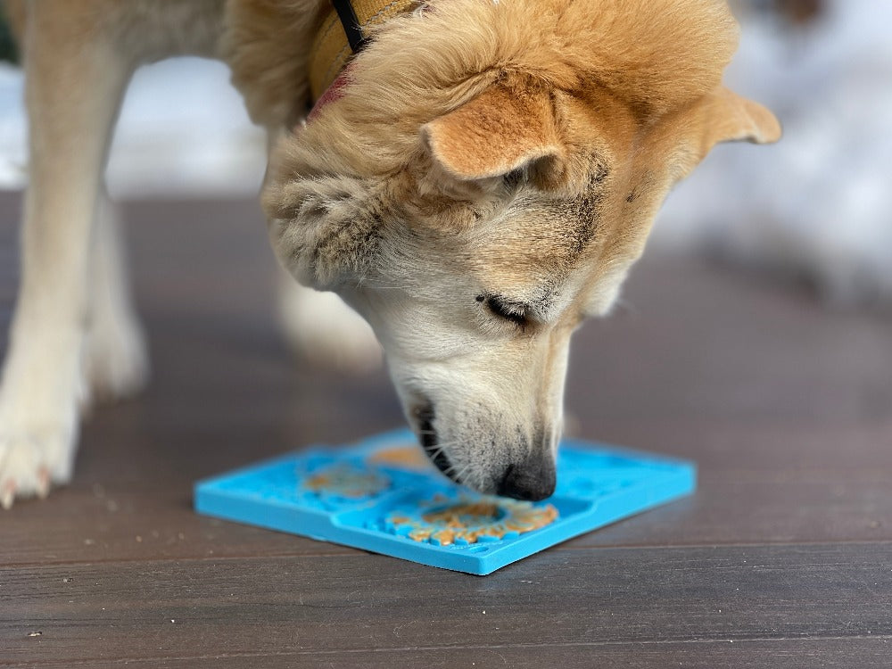 Sky Emat Enrichment Lick Mat For Dogs And Cats Celestial Pet - gallery image 9