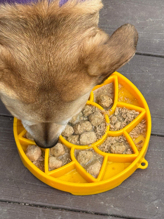 Sunflower Etray Shallow Slow Feeder Dog Bowl For Enrichment - gallery image 7