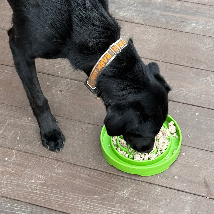 Garden Design Etray Shallow Slow Feeder Dog Bowl For USA Pet - gallery image 8