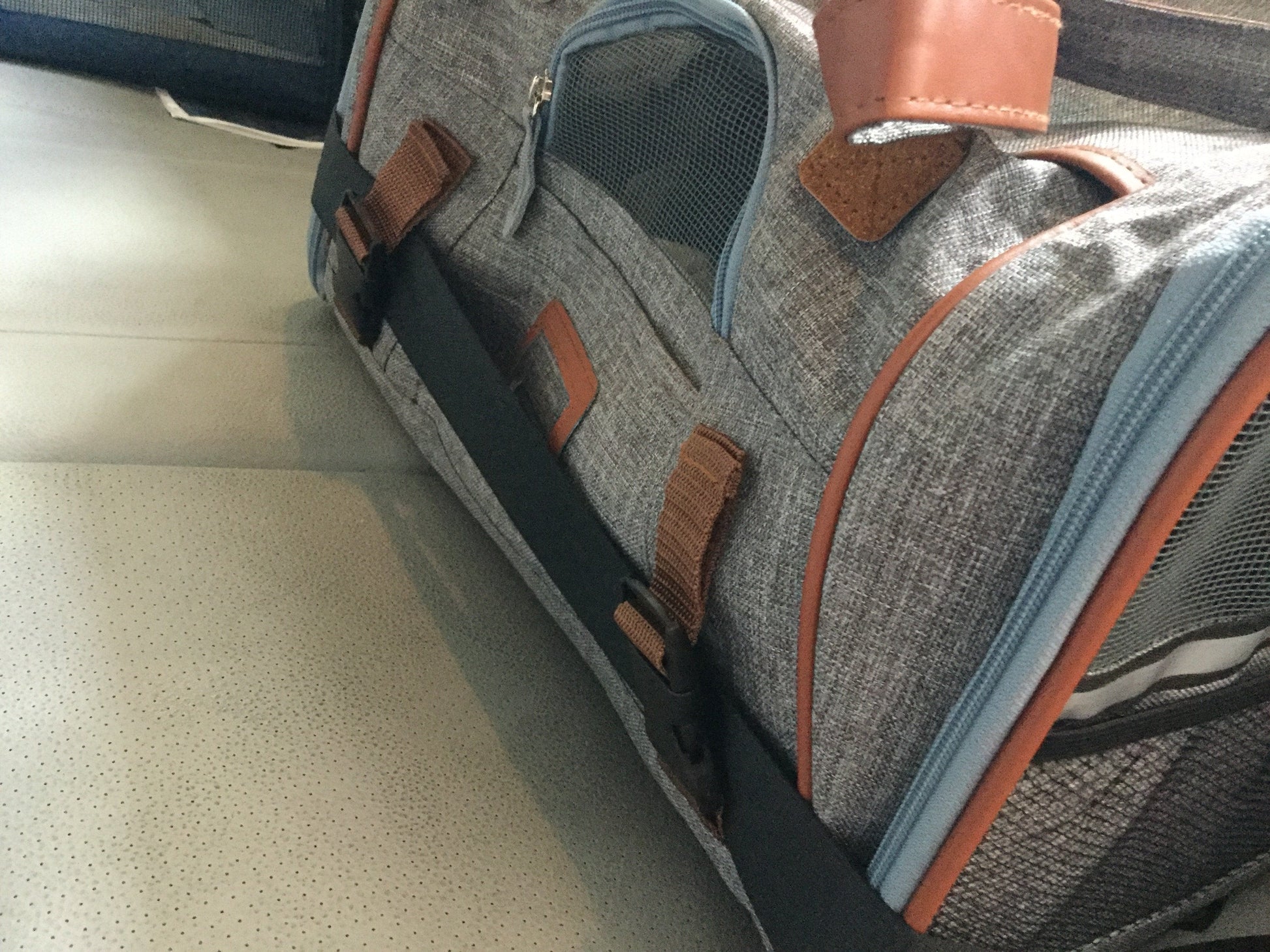 Mr. Peanut's Gold Series Big Apple XL Expandable Pet Carrier V2.0 - gallery image 15