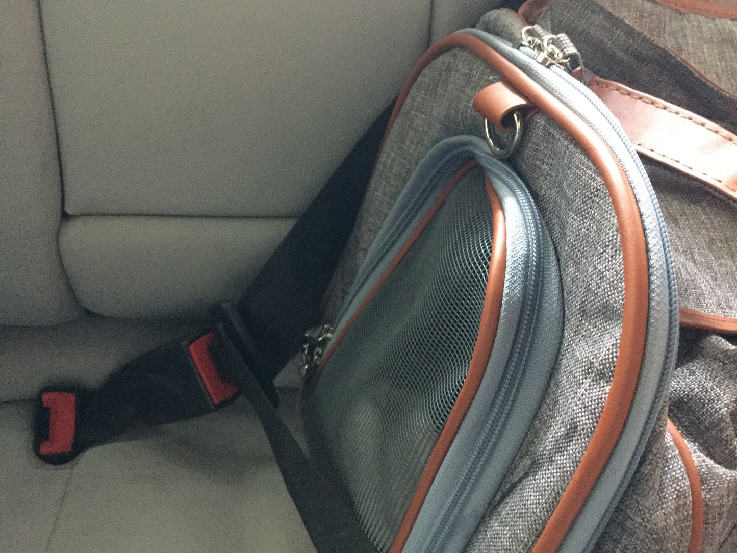 Mr. Peanut's Gold Series Standard Size Airline Compliant Pet Carrier - gallery image 26