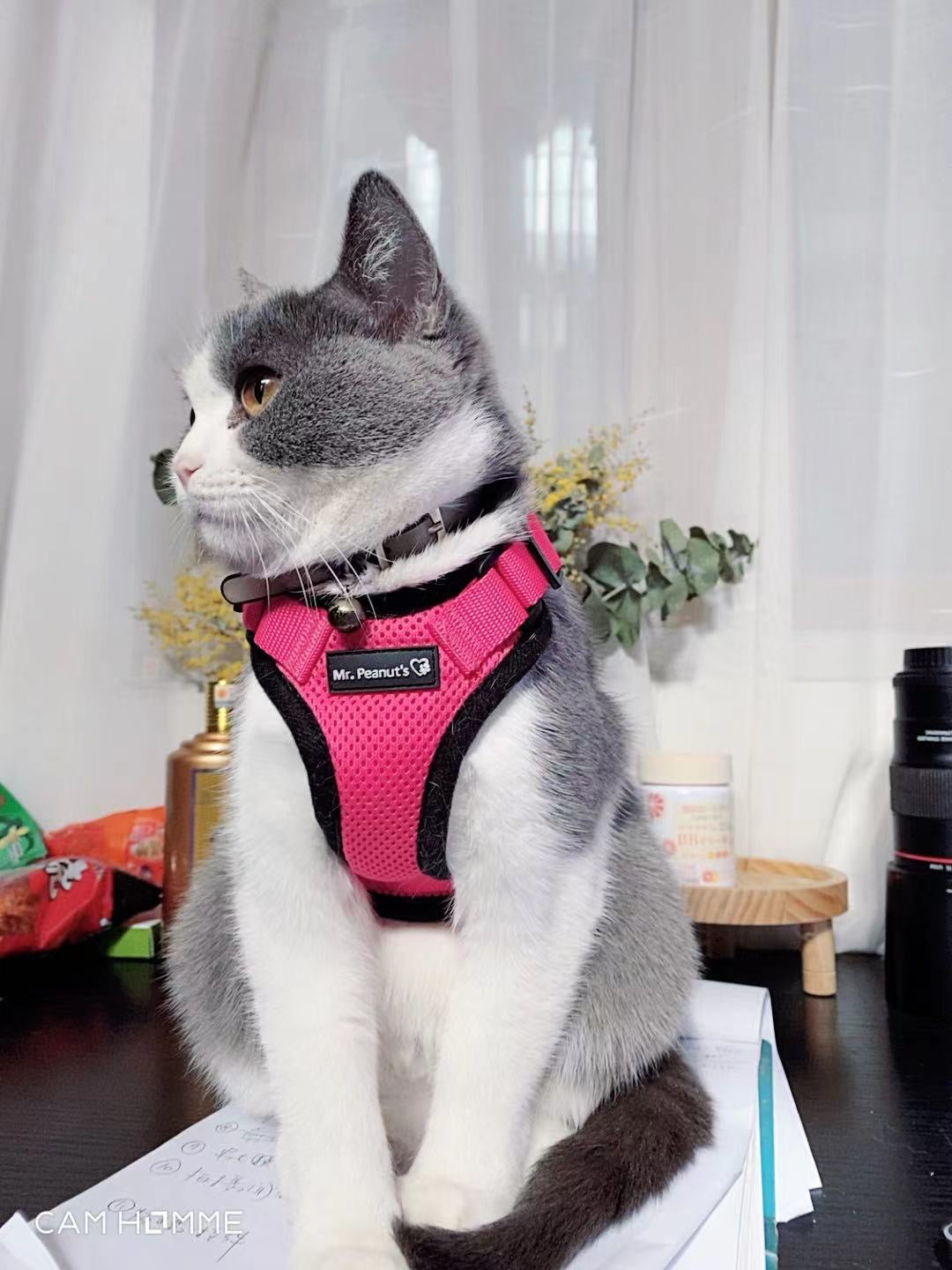 Mr. Peanut's PurrTrek Reflective Cat Harness with Matching Leash - main product image