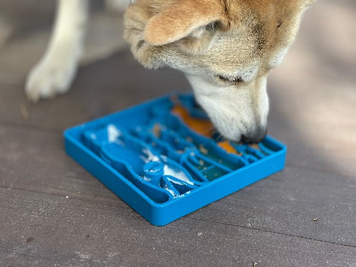 Waiting Dogs Etray Shallow Slow Feeder Bowl For Enrichment - gallery image 7