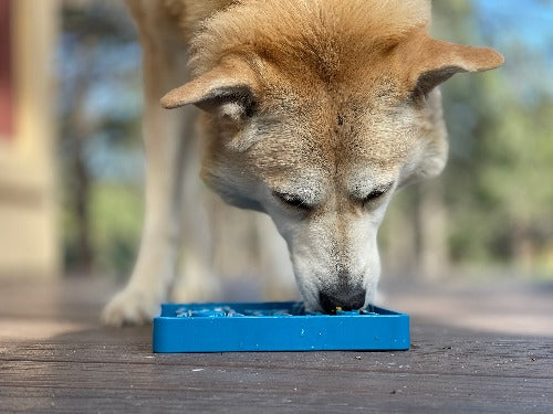 Waiting Dogs Etray Shallow Slow Feeder Bowl For Enrichment - gallery image 10
