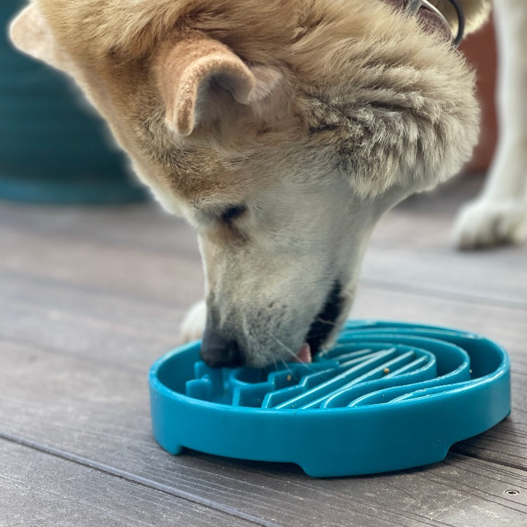 Baja Design eTray - Shallow Slow Feeder Dog Bowl for Enrichment | USA Made - gallery view 8 | Slow Feeders at Purrfect Pet