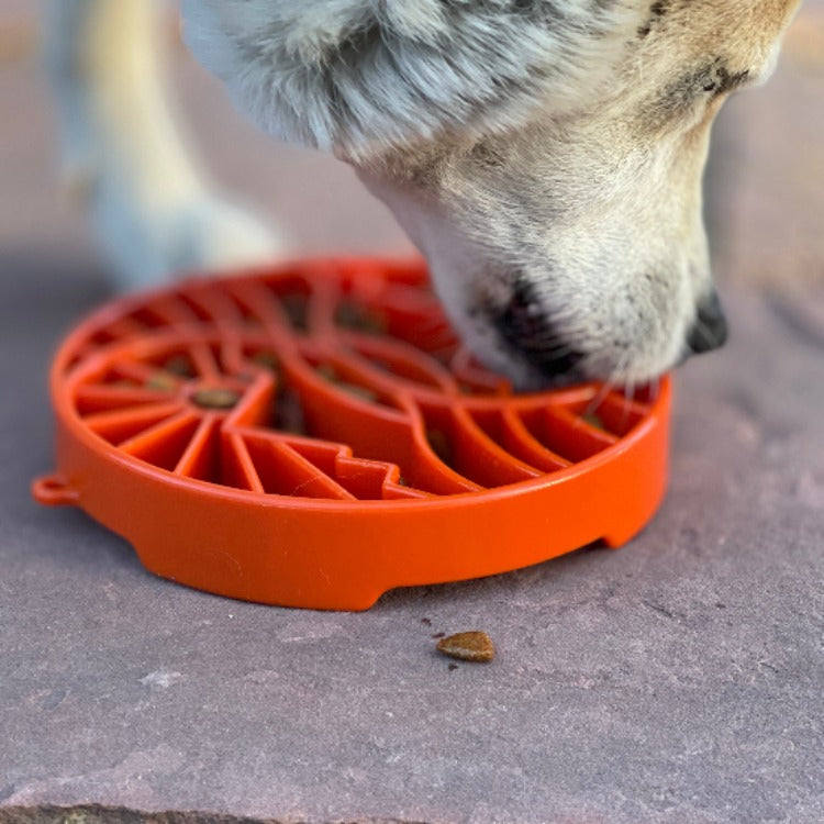 Sun And Moon Etray Shallow Slow Feeder Dog Bowl For USA Made - gallery image 8