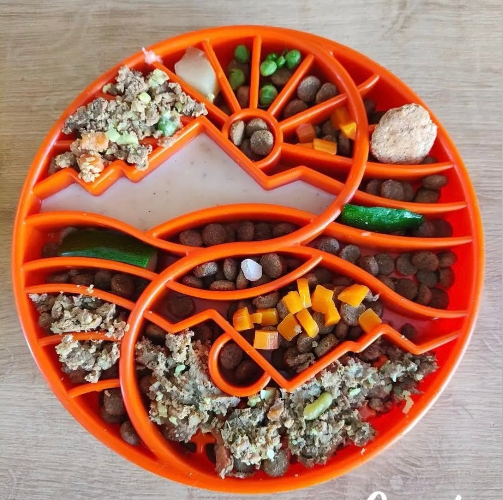 Sun And Moon Etray Shallow Slow Feeder Dog Bowl For USA Made - gallery image 7