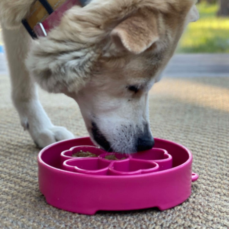 Flower Ebowl Deep Slow Feeder Dog Bowl For Enrichment USA - gallery image for Pet Feeders & Bowls