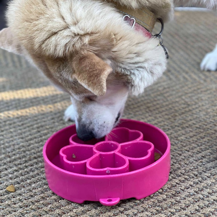 Flower Ebowl Deep Slow Feeder Dog Bowl For Enrichment USA - gallery image for Pet Feeders & Bowls