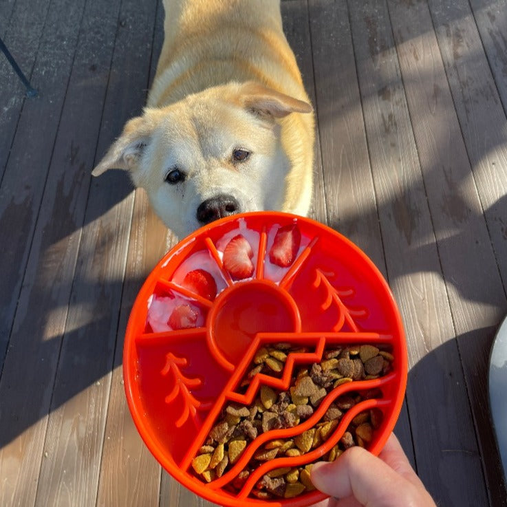 Great Outdoors Ebowl Slow Feeder Dog Bowl Enrichment USA Pet - gallery image 13