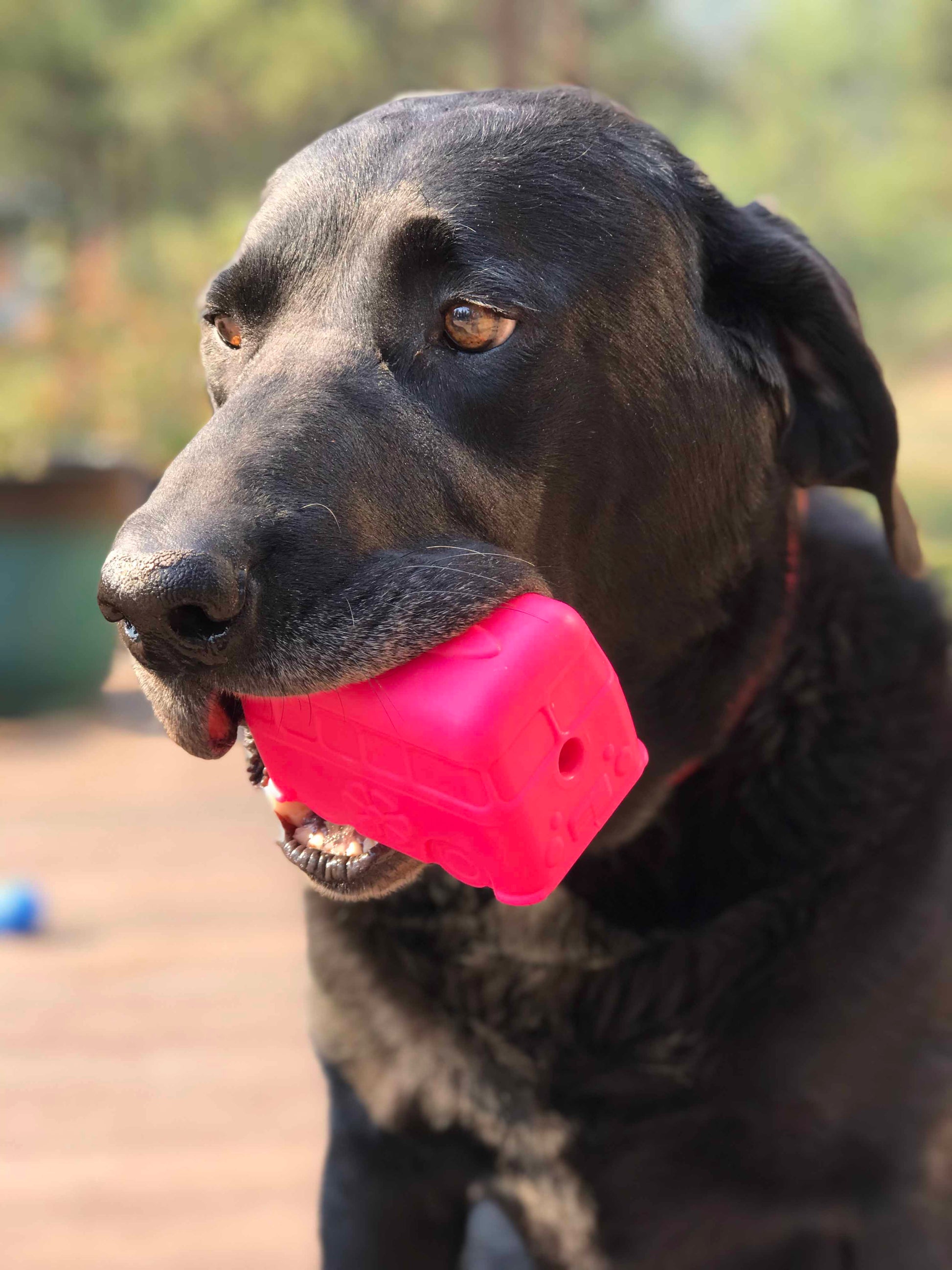 Dog Treat Toy Chew Enrichment s Classic Durable Premium Pet - gallery image 8