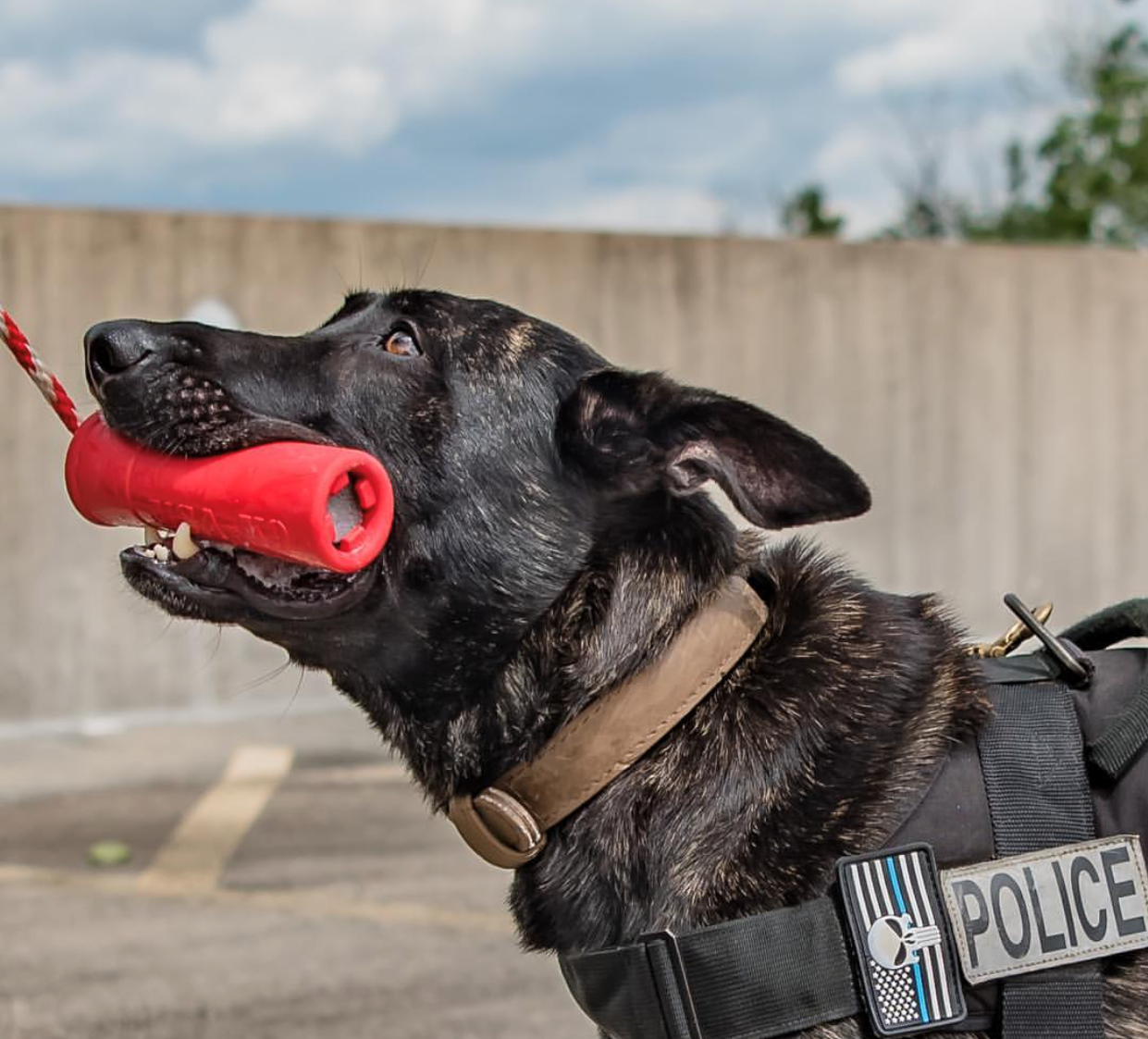 USA K9 Firecracker Floating Training Dummy K9 Handler Reward - gallery image 8