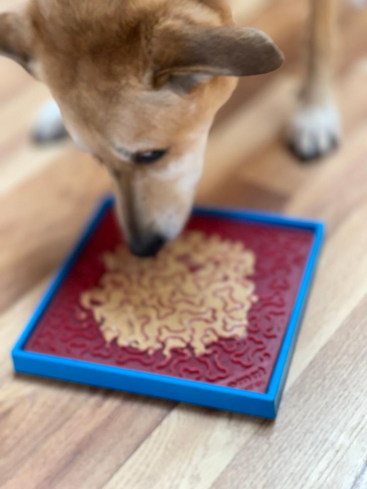 Hold Em Suction Cup Holder For Dog Bowls Lick Mats USA Made - gallery image 8
