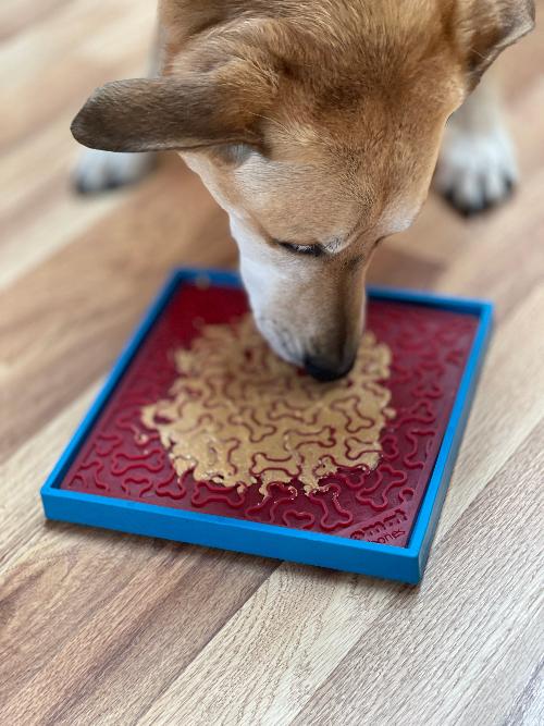 Hold Em Suction Cup Holder For Dog Bowls Lick Mats USA Made - gallery image 12