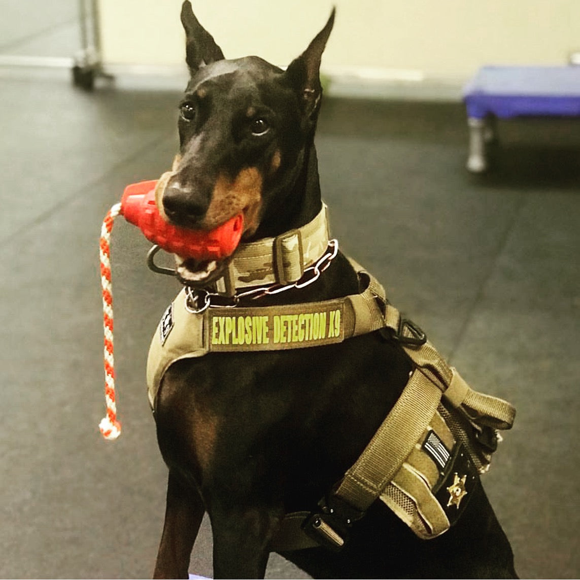 USA K9 Magnum Grenade Black Magnum Rubber Chew Toy For USA - gallery image 5