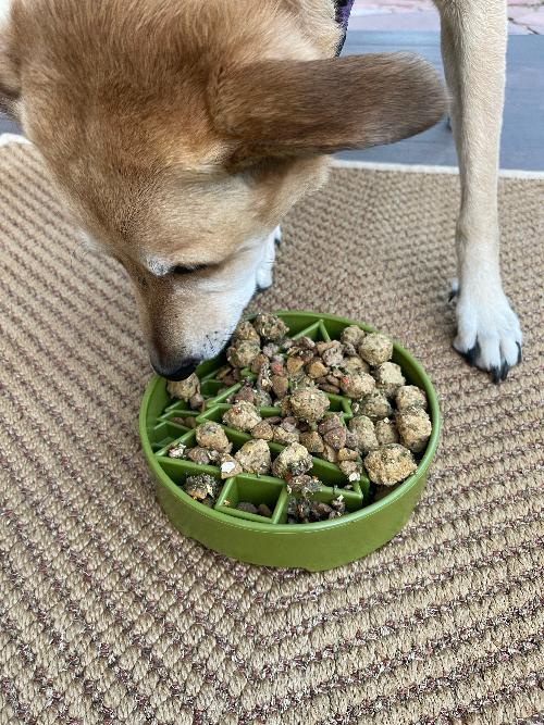 Pine Tree Christmas Ebowl Deep Slow Feeder Dog Bowl For USA - gallery image 10