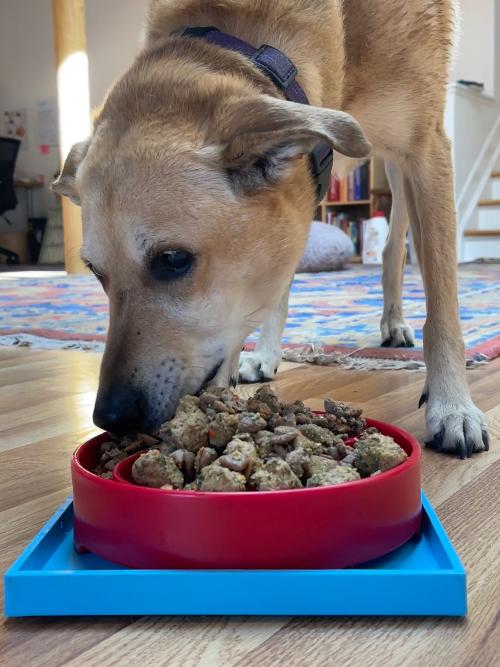 Hold Em Suction Cup Holder For Dog Bowls Lick Mats USA Made - gallery image 10