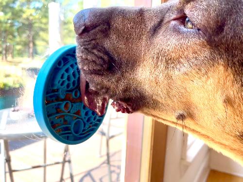 Dog Lick Mat Enrichment Slow Feeder Small Classic Premium - gallery image 8