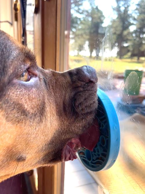 Dog Lick Mat Enrichment Slow Feeder Small Classic Premium - gallery image 6