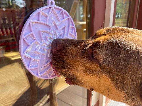 Lotus Design Emat Enrichment Lick Mat For Dogs And Cats With - close up view