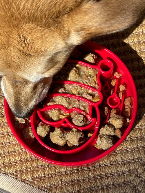 Santa Christmas Ebowl Deep Slow Feeder Dog Bowl For USA Made - gallery image 5