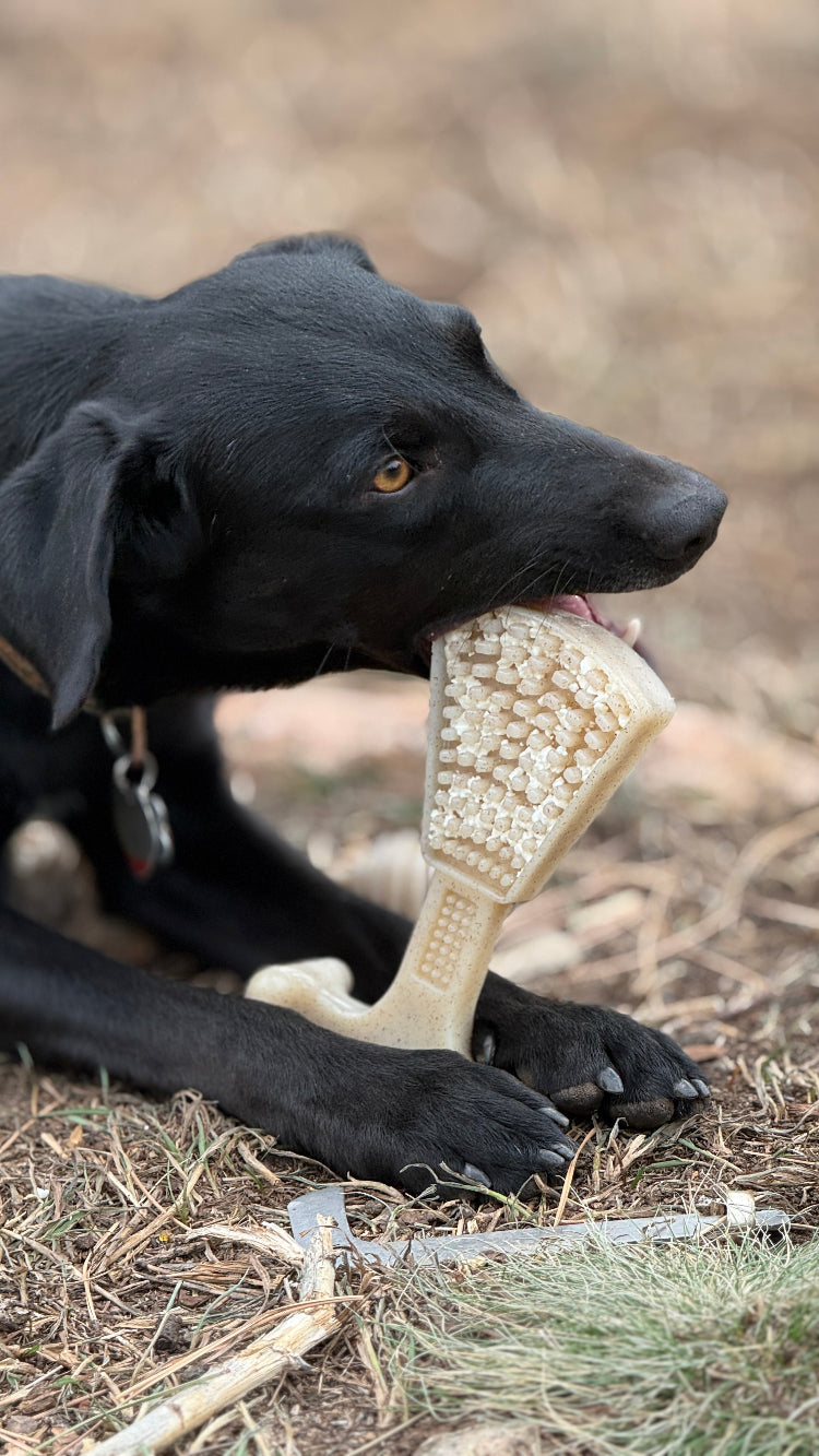 Dog Treats Waffle Tower Nylon Chew Enrichment Toy 2-in-1 for - gallery product image for dog treats