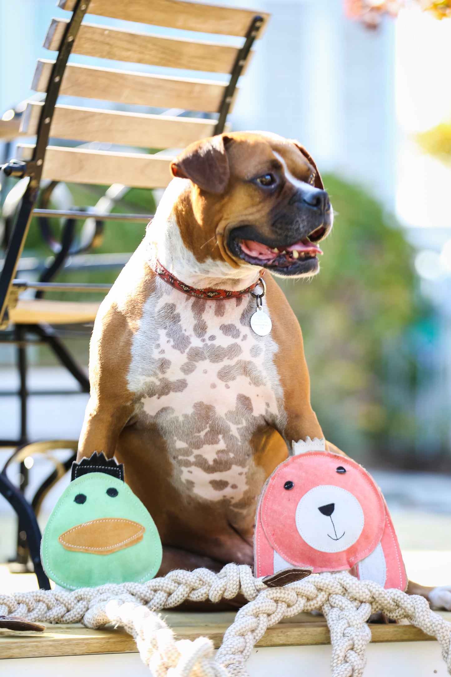 Dog Toy Dilly Duck Natural Rope Knottie Toy Large 9mm t main product image for dogs and cats