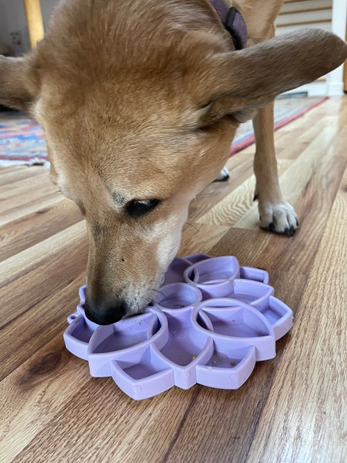 Mandala Softie Etray Shallow Slow Feeder Dog Bowl With Cups - gallery image 8
