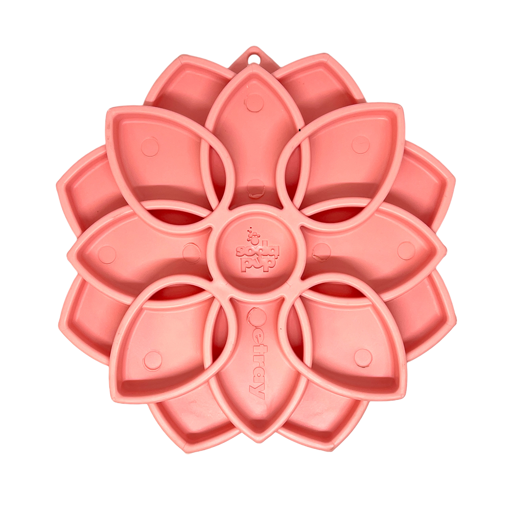 Mandala Softie Etray Shallow Slow Feeder Dog Bowl With Cups - lifestyle view