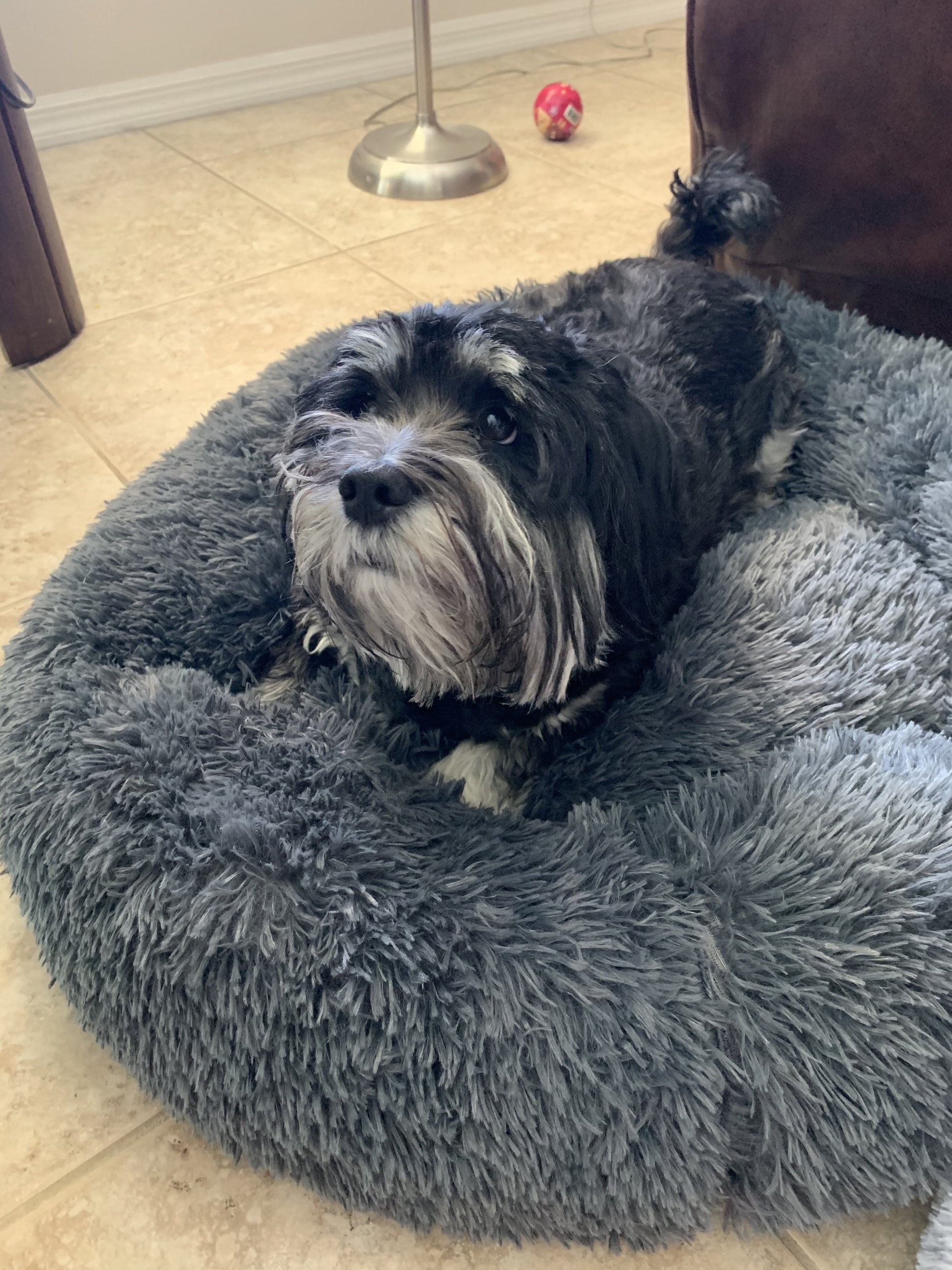 Mr. Peanut's 28" OrthoPlush� Pet Bed - Snowflake White Two Tone - gallery image 20