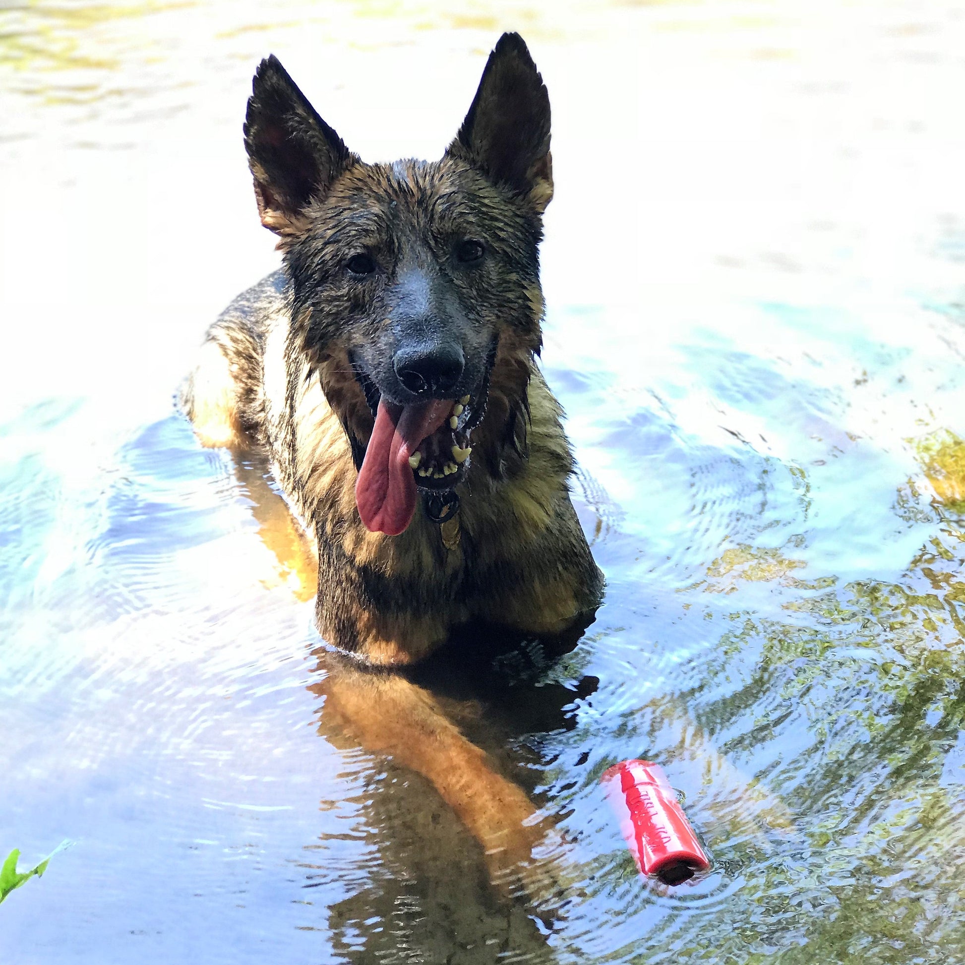 USA K9 Firecracker Floating Training Dummy K9 Handler Reward - gallery image 12