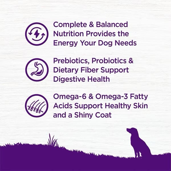 Wellness Complete Health Beef & Barley Adult Dry Dog Food - lifestyle view