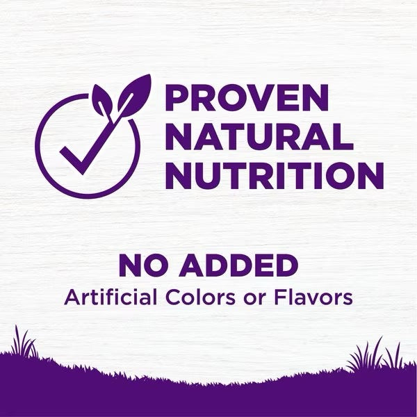 Wellness Complete Health Beef & Barley Adult Dry Dog Food - close up view