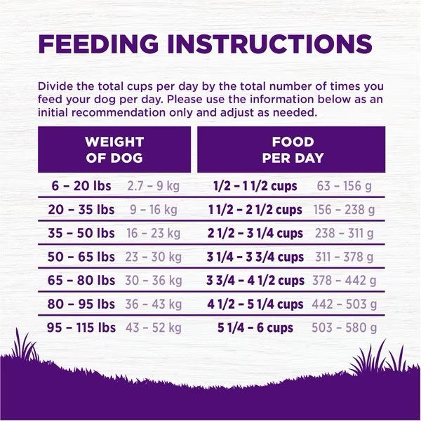Wellness Complete Health Beef & Barley Adult Dry Dog Food - gallery image 7
