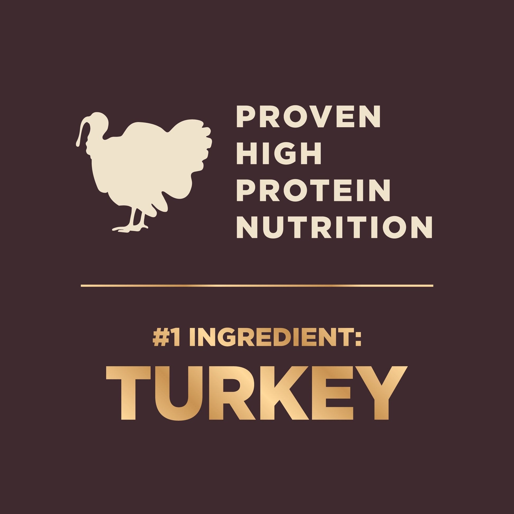 Wellness Core Rawrev Small Breed Deboned Turkey Chicken Meal - lifestyle view