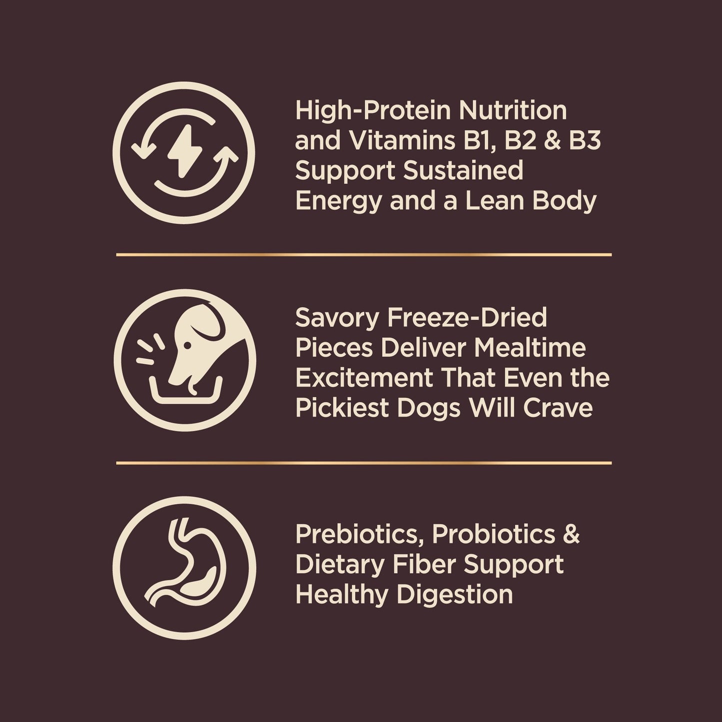 Wellness Core Rawrev Small Breed Deboned Turkey Chicken Meal - close up view