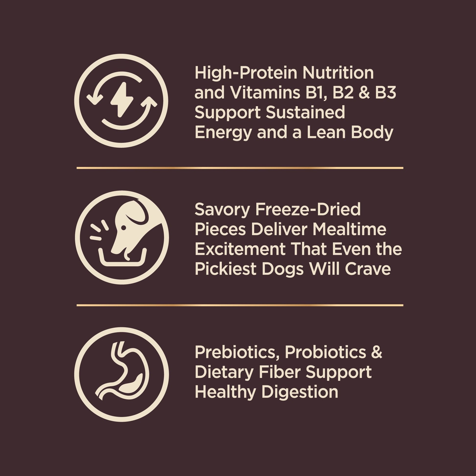 Wellness Core Rawrev Small Breed Deboned Turkey Chicken Meal - close up view