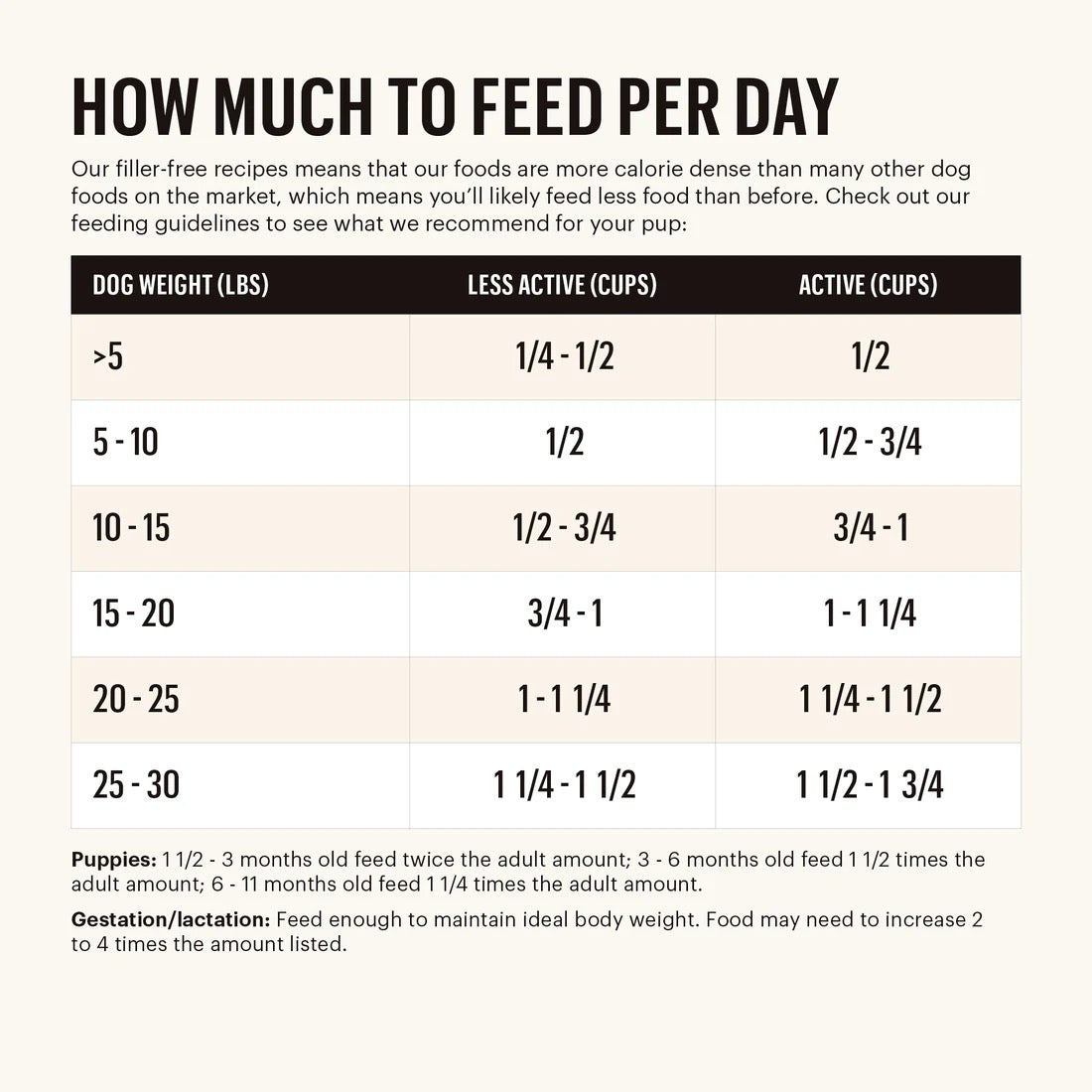 Honest Kitchen Clusters Small Breed Grain Free Chicken Dry - lifestyle view